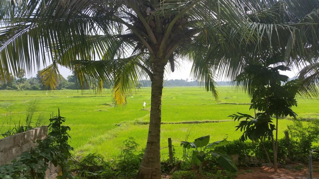Serene View Tourist Rest Anuradhapura Exterior foto