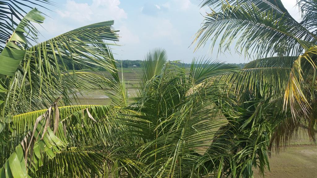 Serene View Tourist Rest Anuradhapura Exterior foto